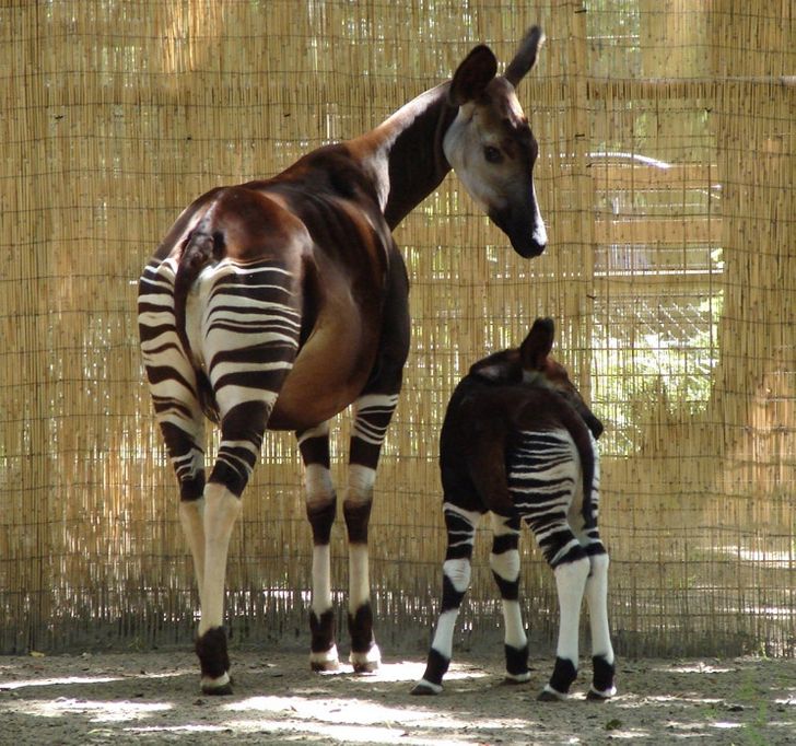 eaaa3b5eda827162ed26300f67