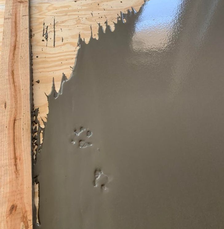 eab2945fff9a21ff339504bbc9