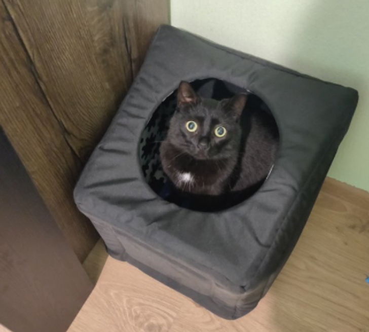 eab3605901b051b92df7c2d8c8