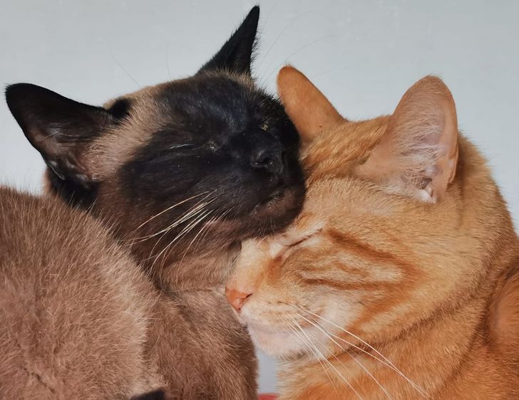 eab62f553d90b4b95d63ecd486