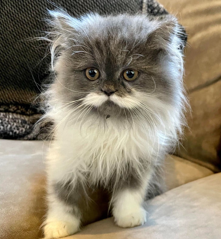 eab682515f9abe5a2d7466b4fc