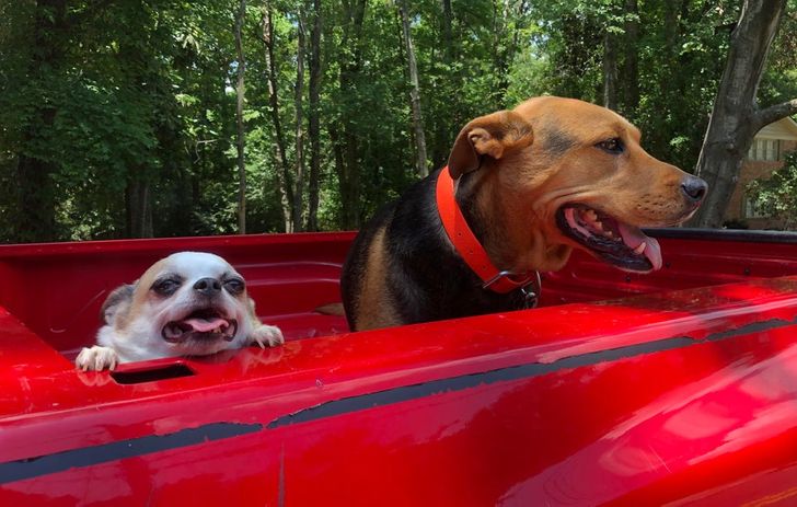 eabe5e59c794fa271b4c890b6f