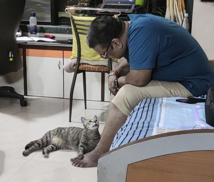 eabef15bfdab1ee4966c0401e5