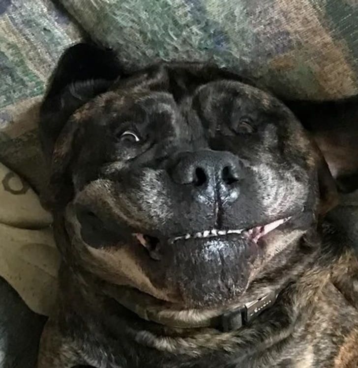 eac92f5a349601e536191c8c5b