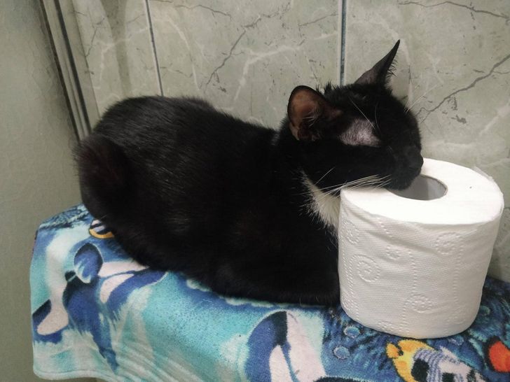 eacb8c5803ab6a598664b46598