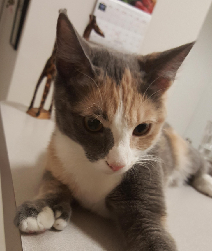 eaeedf55be8bccbad3c19bcd0b