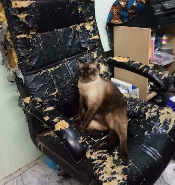 eaf4265b5a8edda3e13ea1cdac eaf4265b5a8edda3e13ea1cdac