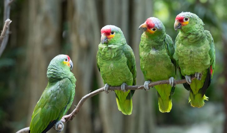 eafac852fea5f61fcab4b38b70