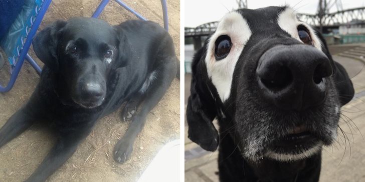 eb006a5c559331acbb55fad962