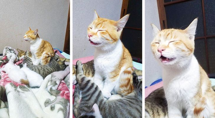 eb040c548f9f78b6a65dcc0bc1