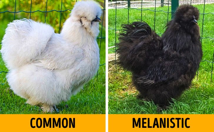 eb14bf515fbb5078df196bd12a