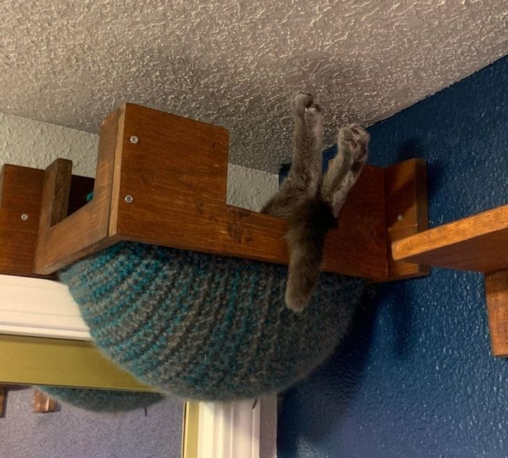 eb1ad95926993f59091e9292ec