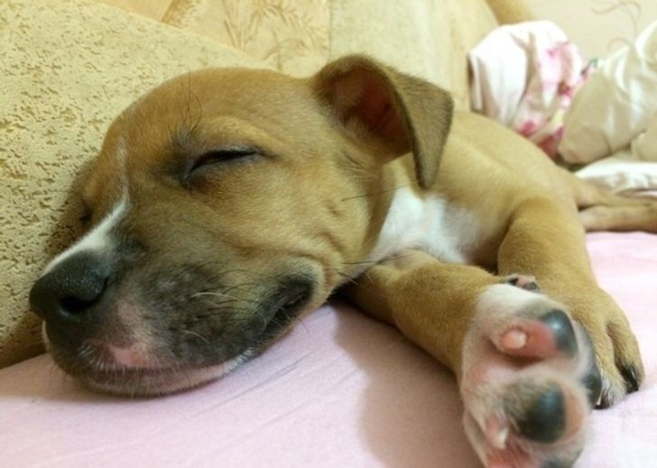 eb1ed65e3f8879d81e37792cc5