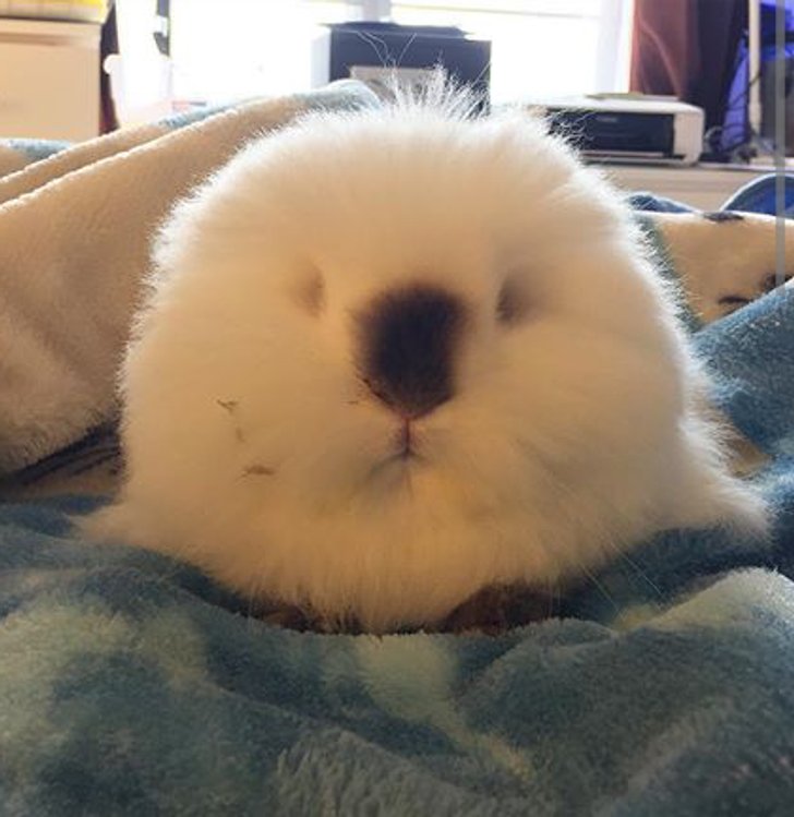 eb20d45bdc9d56f5056791b4f9