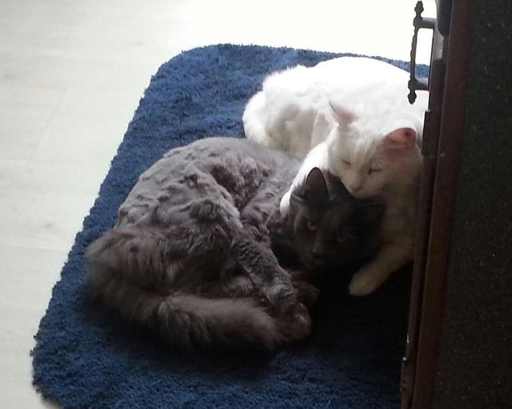 eb26125b10971ebfff6024d21c eb26125b10971ebfff6024d21c