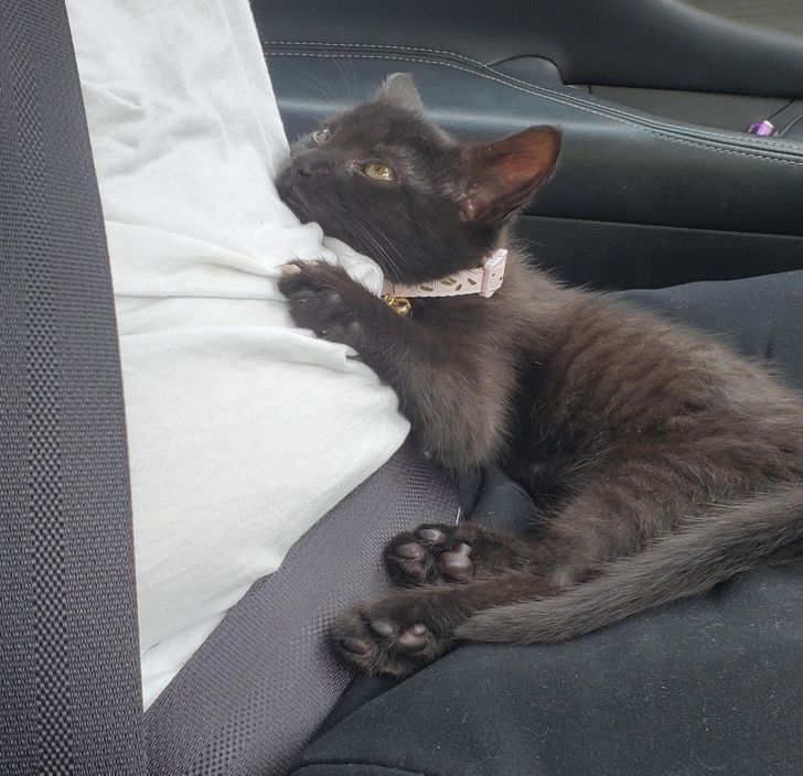 eb2a3857999547b08bcc43f9bf