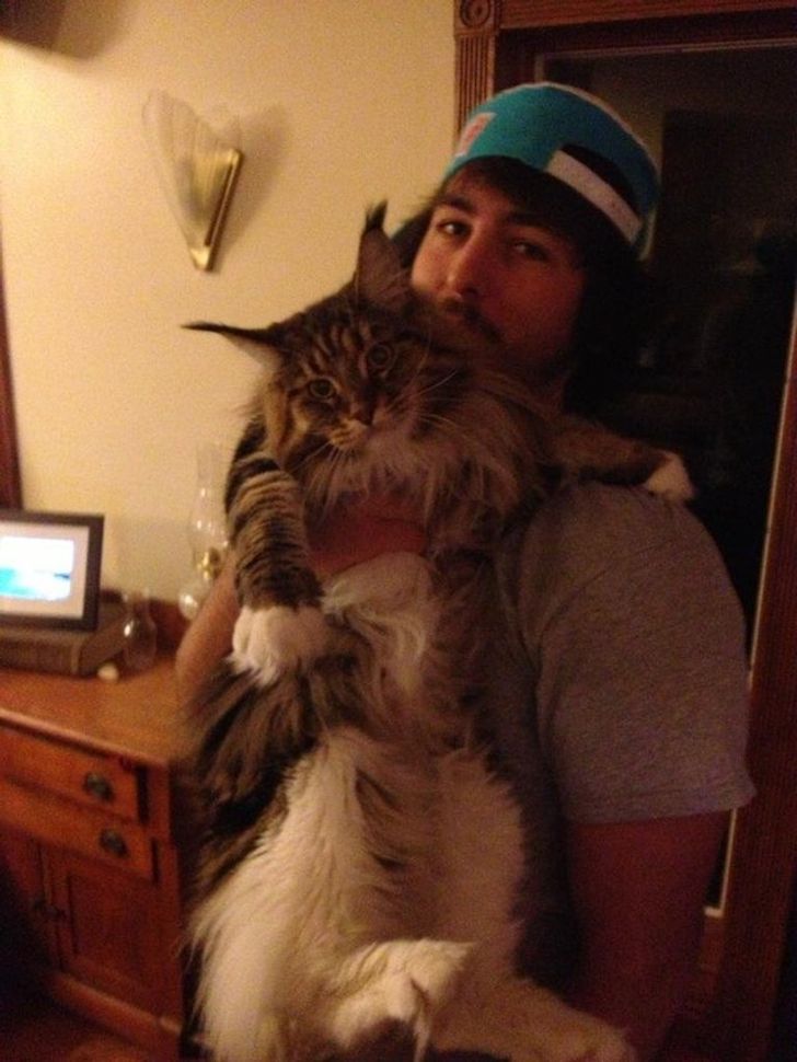 eb2cc656d685ce94adb7c8d9a3