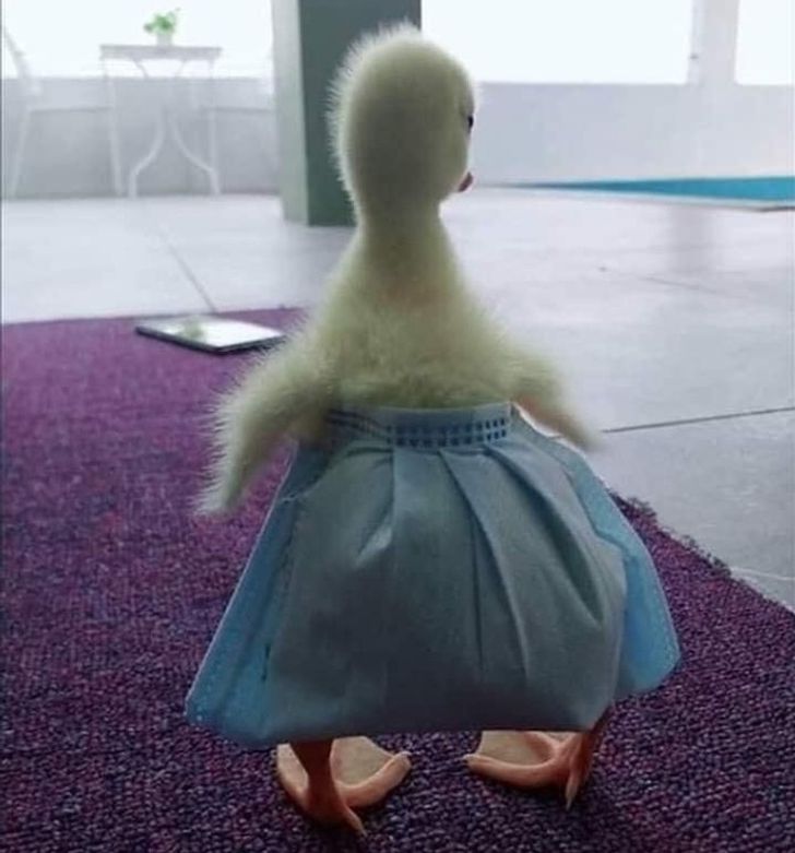 eb2d7155a3bf417a42dfeffb72