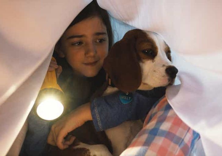 eb3549531fb6d7c0cb896ffd98