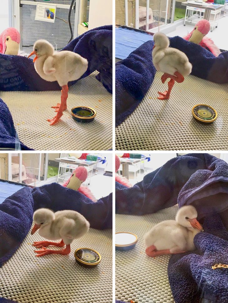 eb355e5494adfa80a02c2ab286