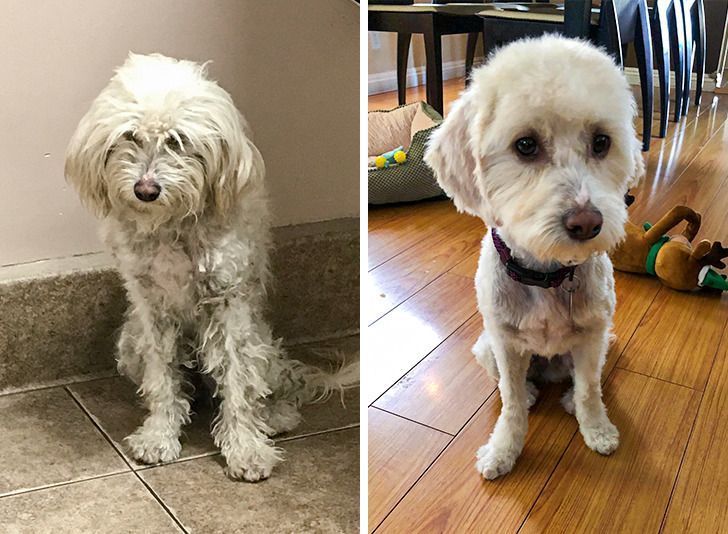 eb37e15f5b891cc5d77f980209