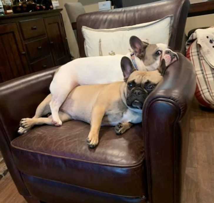 eb3e6b53b983874542d745ca81