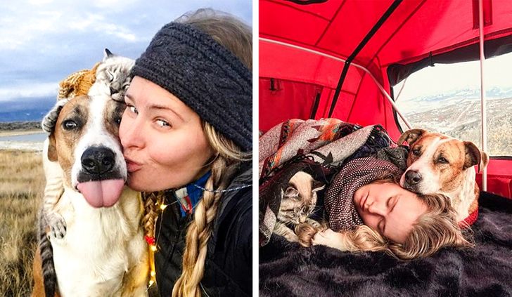 eb423a5b70ab0509fe4b724de2