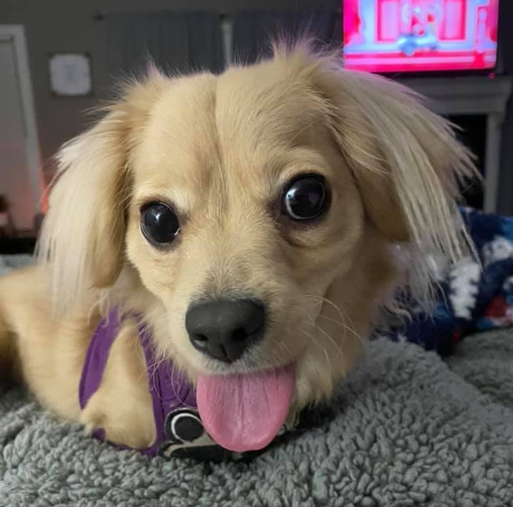 eb44085af680b022577ef1122e