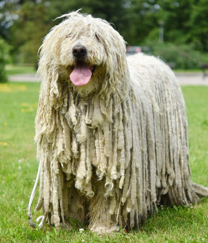 eb4c5651258497de90751e2ded