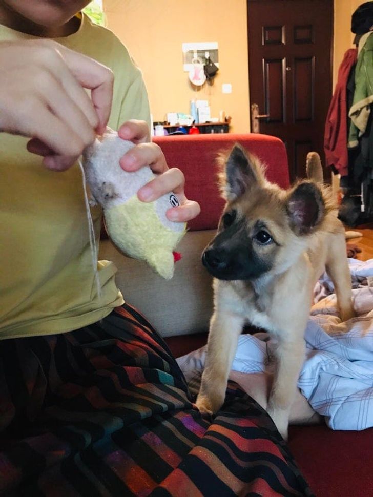 eb52d75626b7696b976e34b701