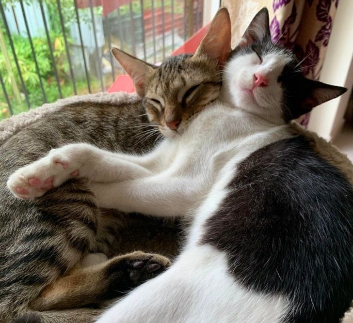 eb534f5fed8ec470f7fc104249