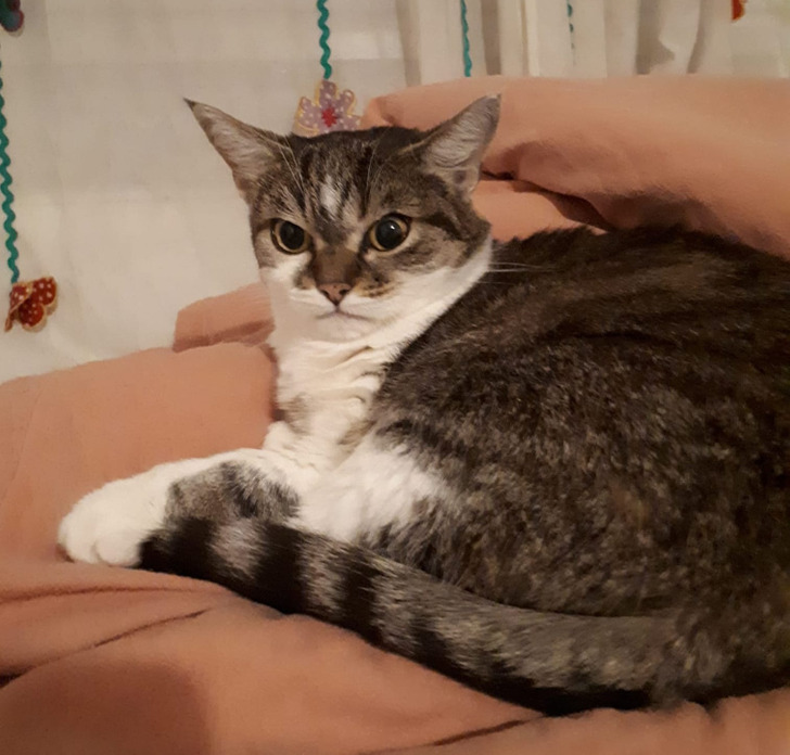 eb58a45754ac35026d03475479 eb58a45754ac35026d03475479