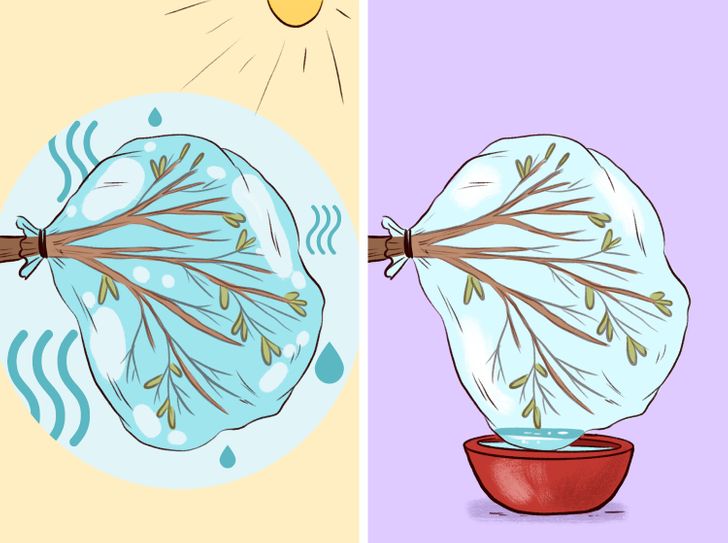 eb5a725738a35d165e0b684083 eb5a725738a35d165e0b684083