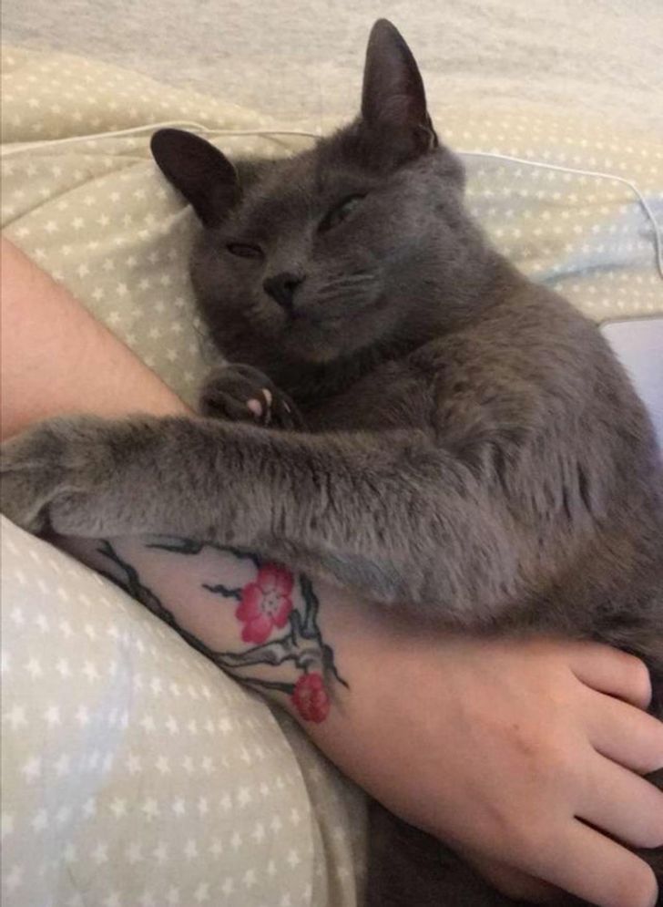 eb5e9e53958c6a843f39850ea7