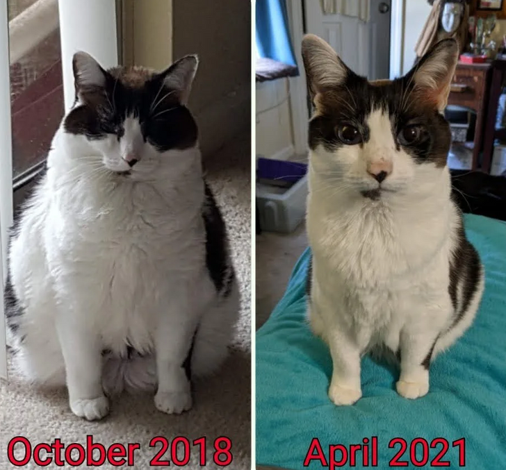 eb684e5855bdf27c837d4cd7d1