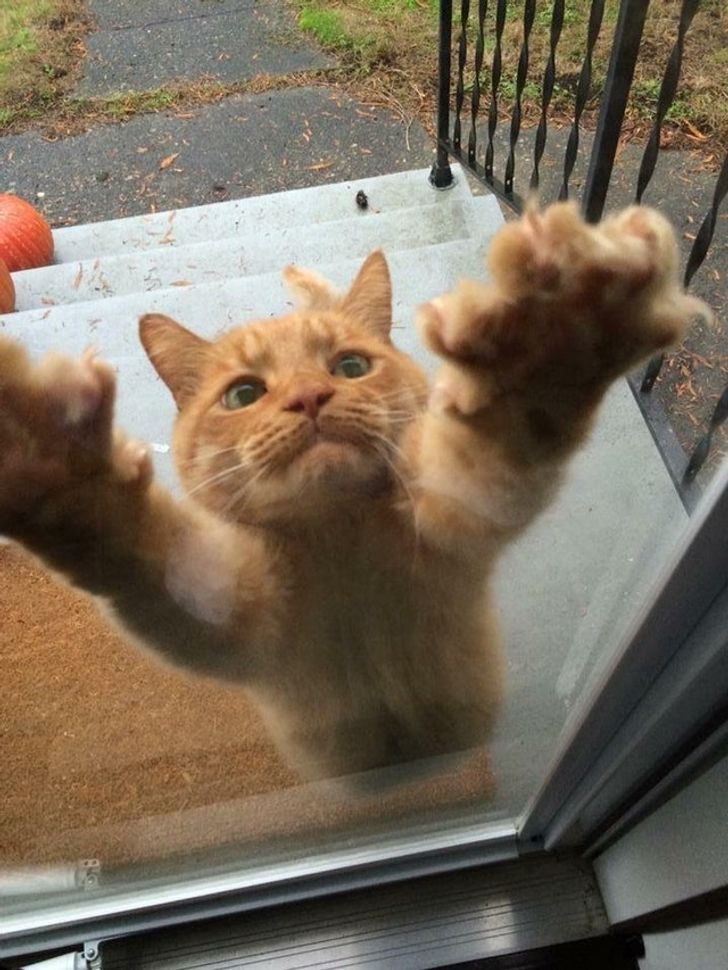 eb6b465b52873228229e43b2c6