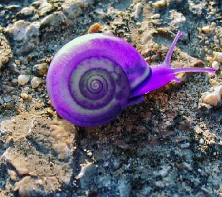 eb6f3c53129bc2b1441e40bd56 eb6f3c53129bc2b1441e40bd56