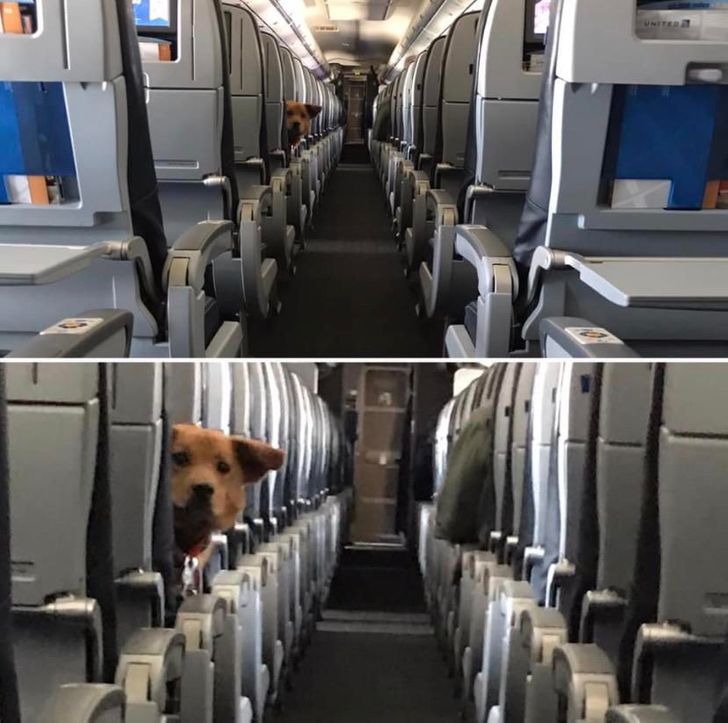 eb7f9459ef994e18c422bd4da0