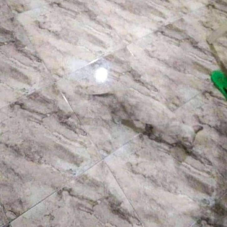 eb84635e6b8ede1504346d86a4