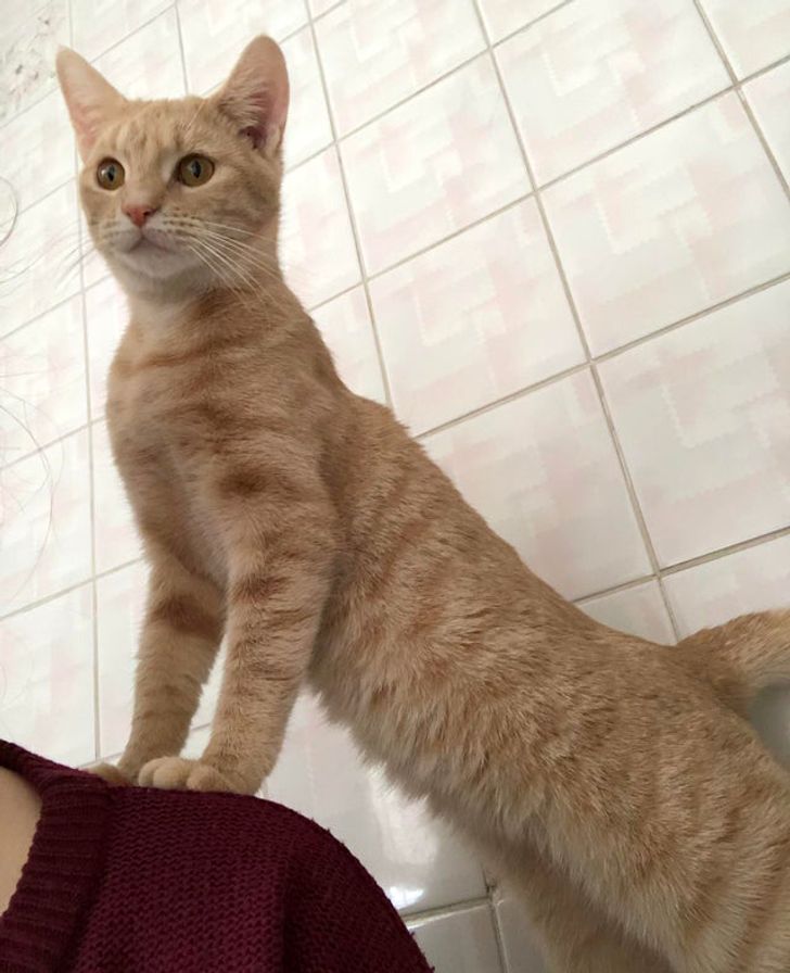 eb85ca5df39d87bea9d7468ab3