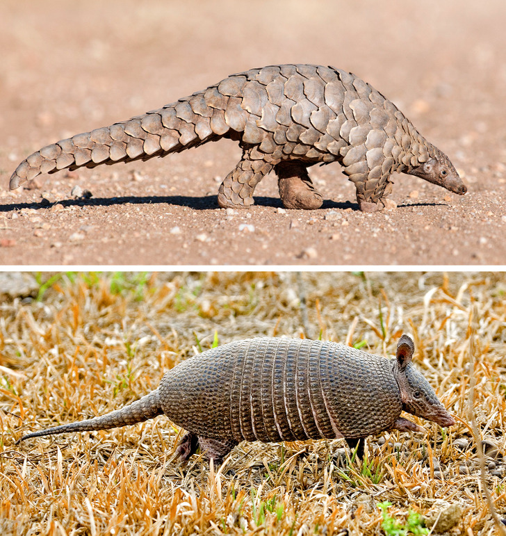 eb8c365fd28150c2c836f5b090