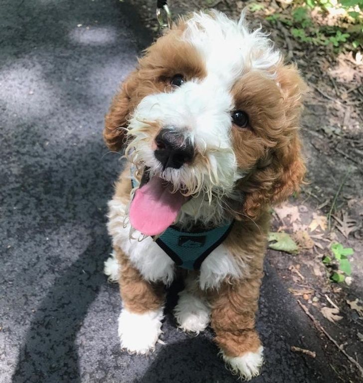 eb90b954ecb065208442060e5c