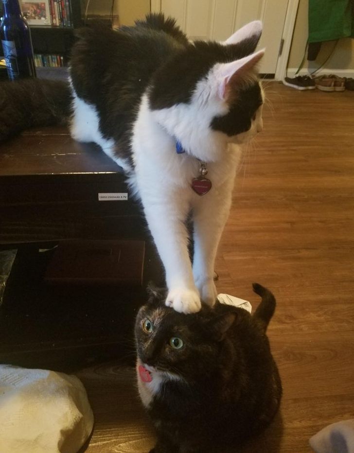 eba344540d9ebf68beee87b0ba