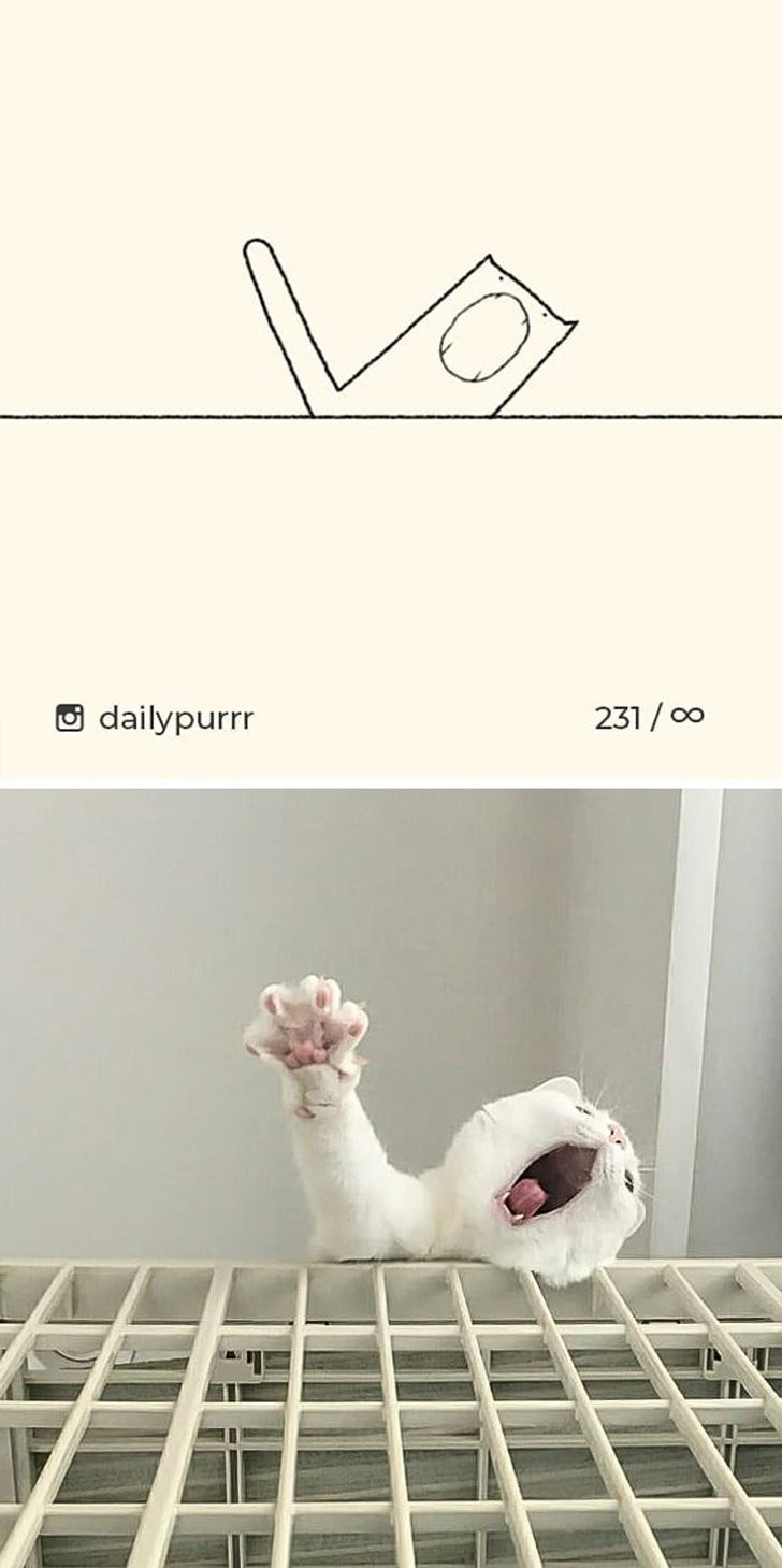 eba58d5d16a621201e98368e4a