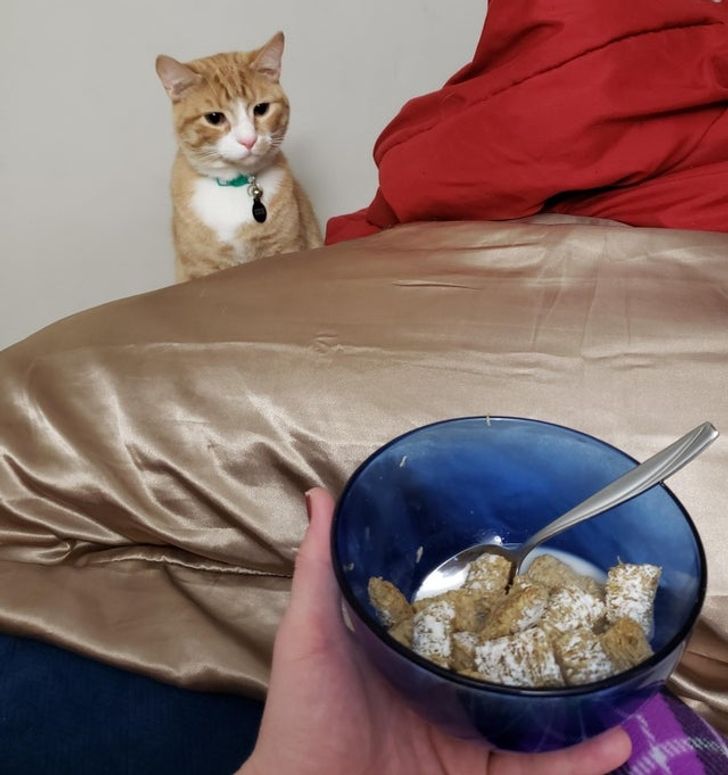 ebb1db50988e757b98a46c81de