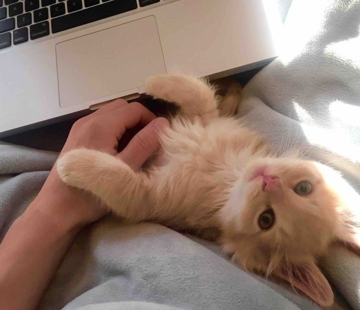 ebb45958e3b25b80290d9784d1