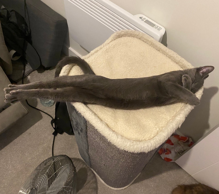 ebb92b5ec7869ab838e37ac293