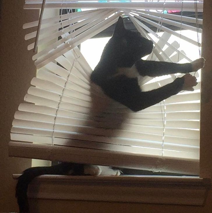 ebb9935ccda632c953a6407114