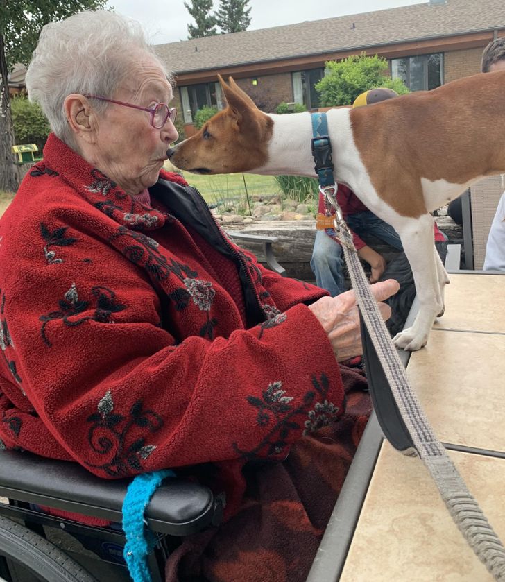 ebbebb54919c26c6eb90ef7ce0