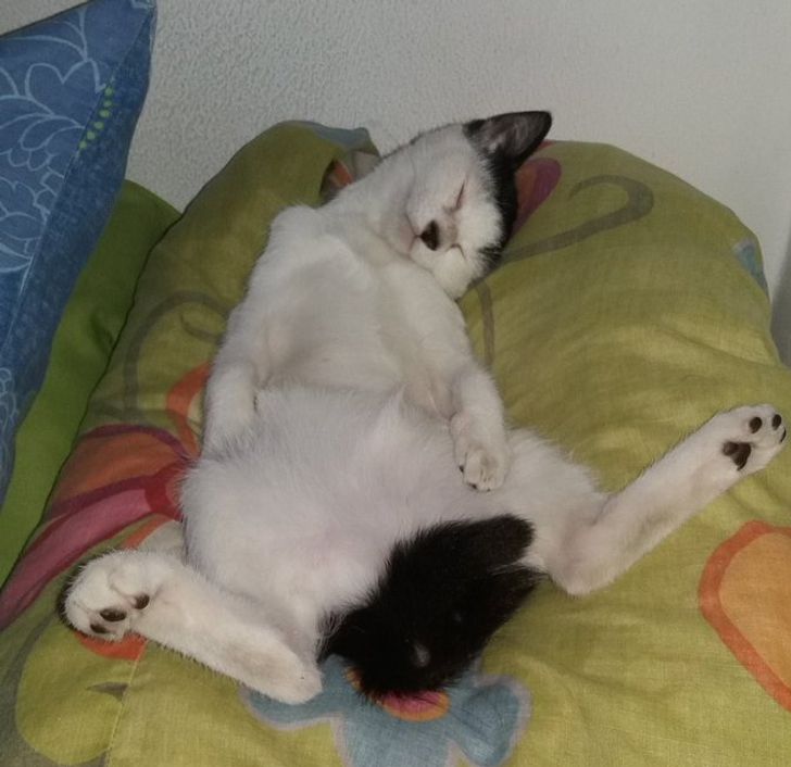 ebc63952339649ed69dee2e9fd